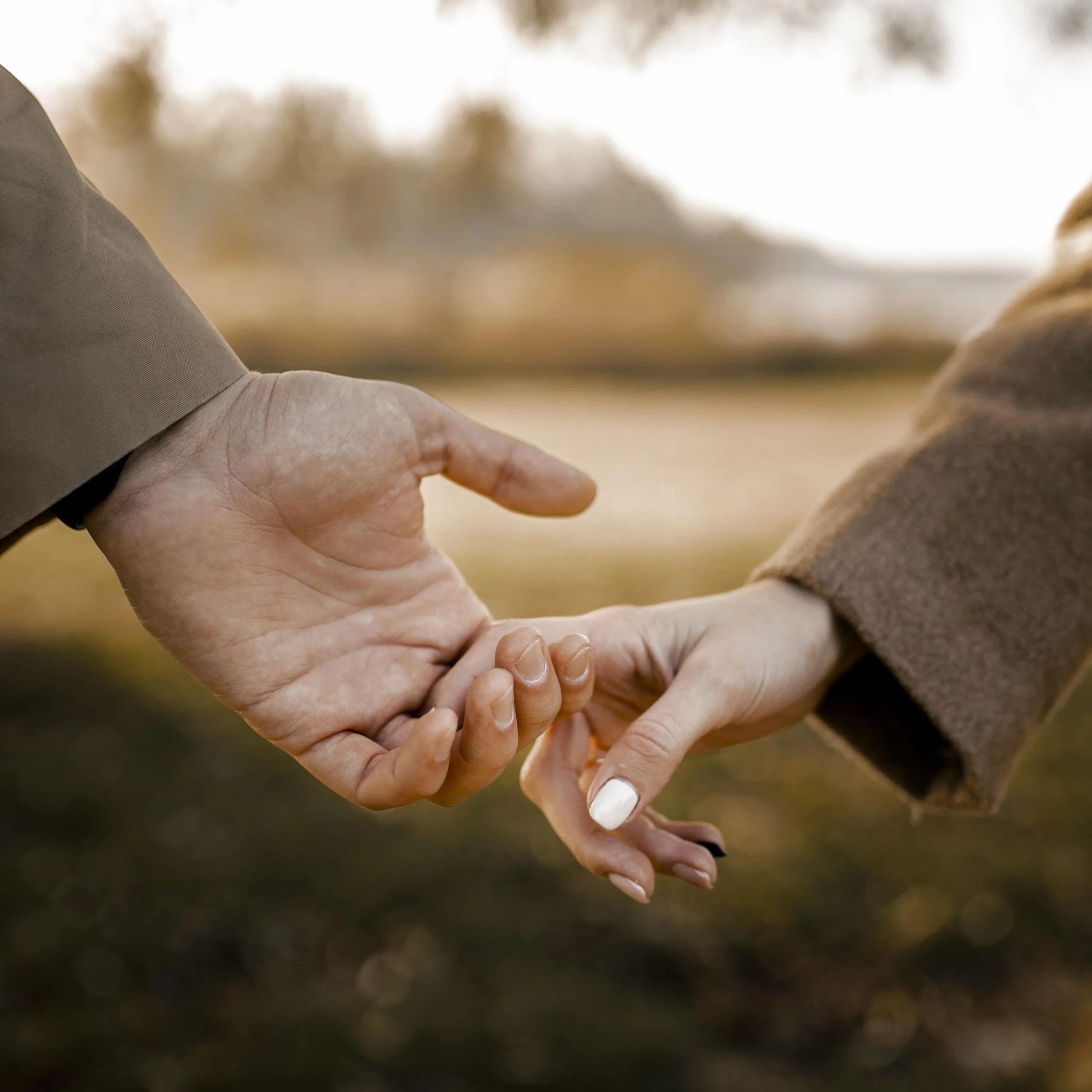 Persiapan Program Kehamilan